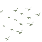 De zelfsturende zwerm