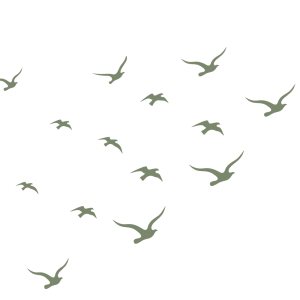 Lees meer over het artikel De zelfsturende zwerm