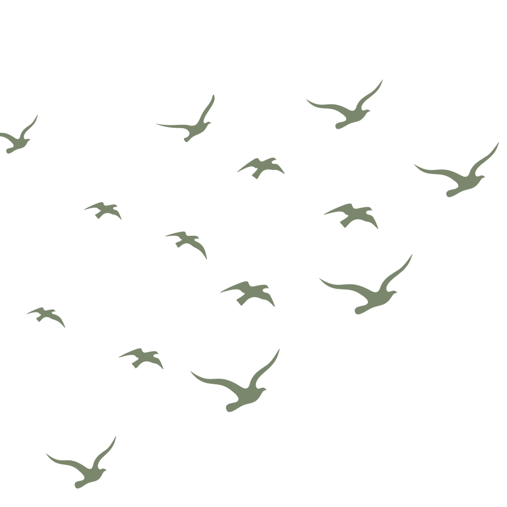 De zelfsturende zwerm